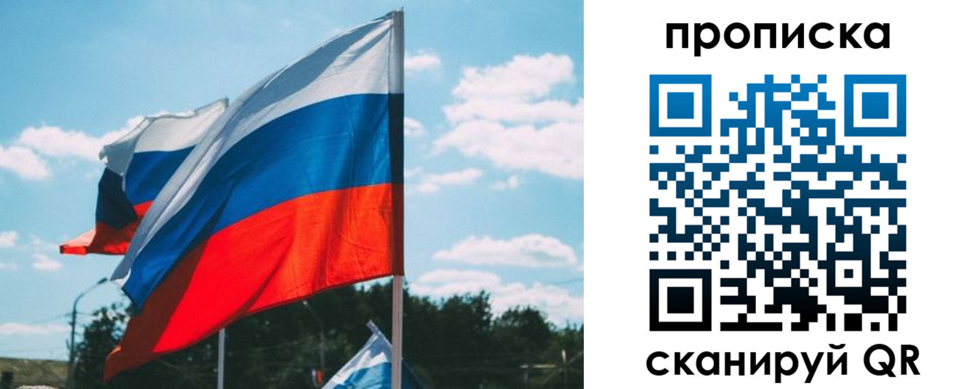 прописка поиск в Сольцах