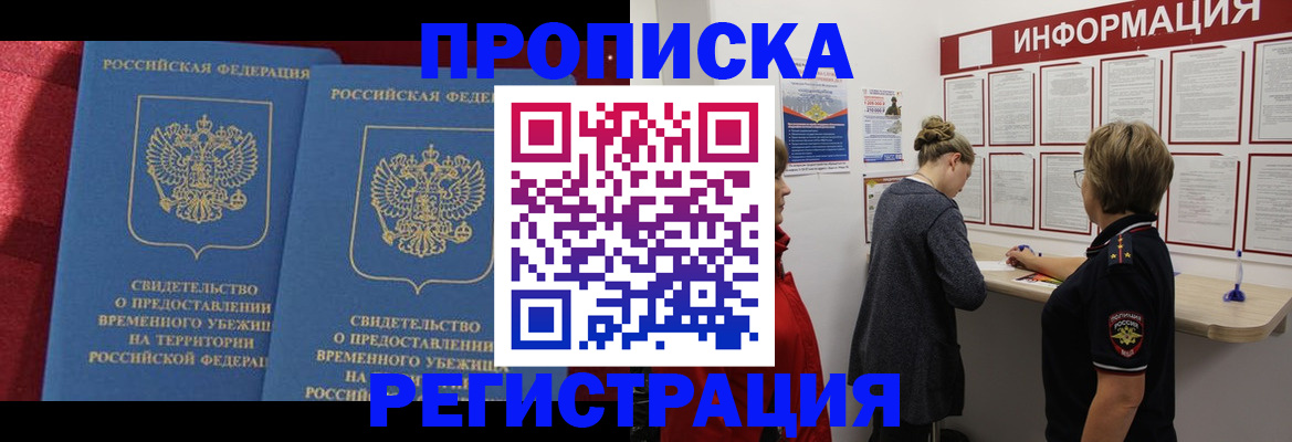 прописка в Сольцах